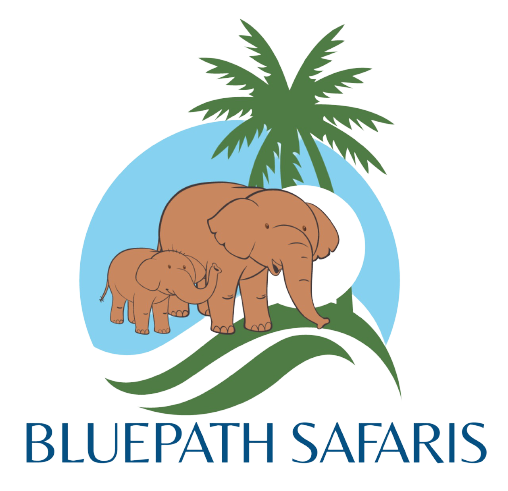 Bluepath safaris life adventures